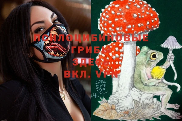 шишки Володарск