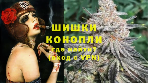 прущие грибы Бугульма