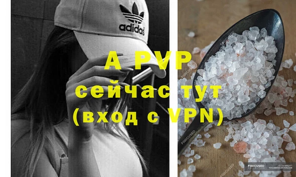прущие грибы Бугульма