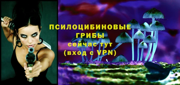 герыч Бородино