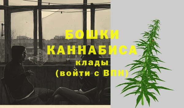 шишки Володарск
