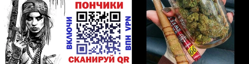 Каннабис ГИДРОПОН  магазин продажи   Светлый 